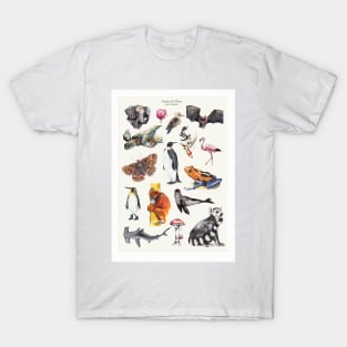 Biodiversity Poster T-Shirt